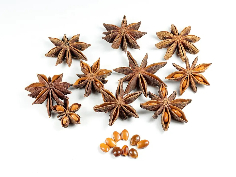Anis-estrelado (Illicium verum Hook.f.)