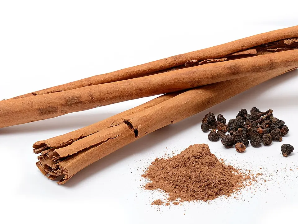 Canela (Cinnamomum verum J.Presl e Cinnamomum cassia (L.) J.Presl)